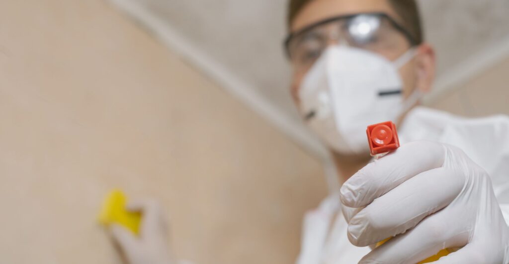 mold expert with bleach