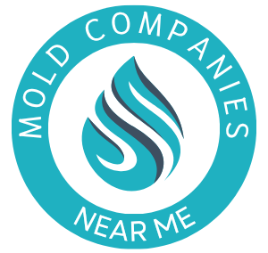 Mold Removal Companies Near Me