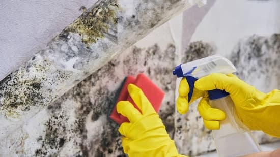 Asbestos Consulting and Testing