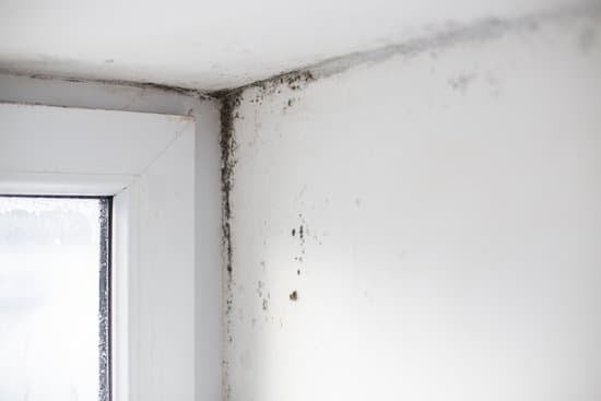 Asbestos Detection and Removal Services