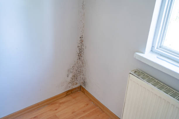 Boiler Repair and Cleaning