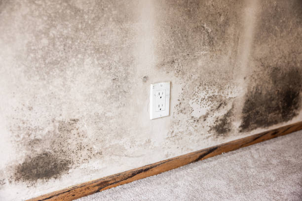 Building Cleaning-Exterior